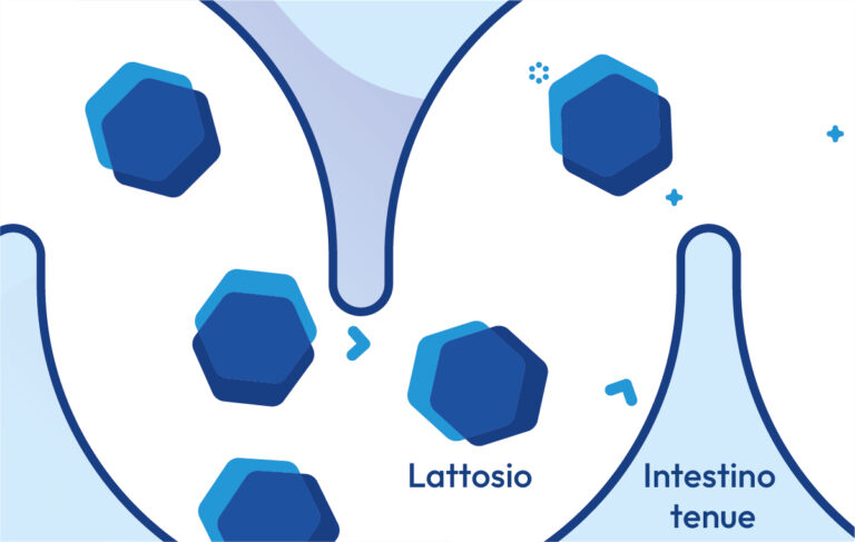 Che cos'è il lattosio?